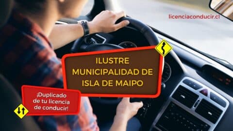 Duplicado de licencia de conducir en isla de maipo