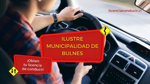 Renovar licencia de conducir en bulnes